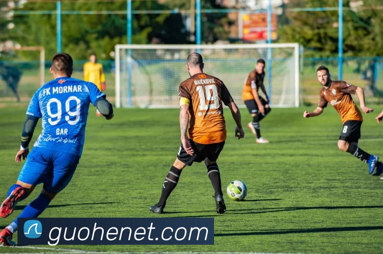 足球世界杯官网中文版平台生态图